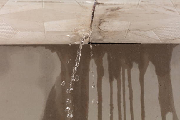 Professional Sewage Cleanup technician working in Blue, AZ